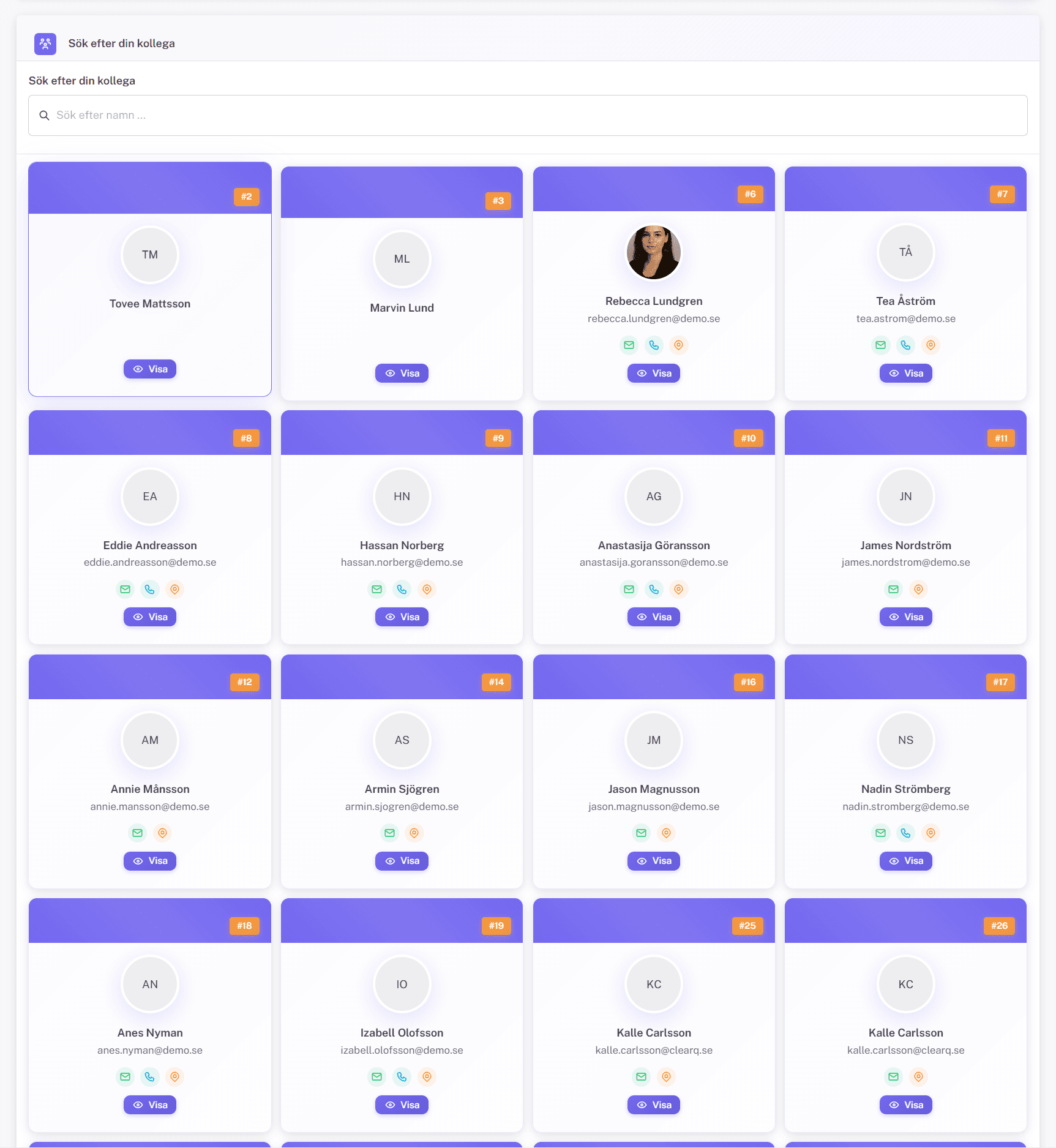 Kollegor i grid-format
